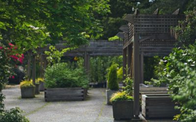 Maintenance Tips for Wooden garden canopy